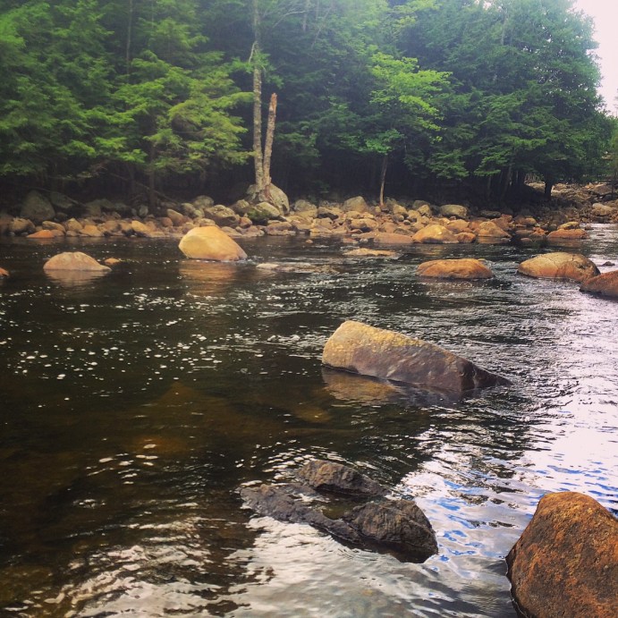 One of my favorite sections for big rainbows.